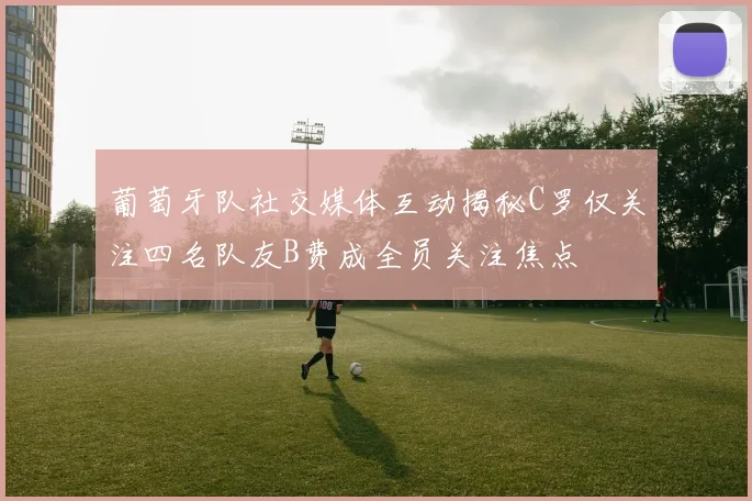 葡萄牙队社交媒体互动揭秘C罗仅关注四名队友B费成全员关注焦点