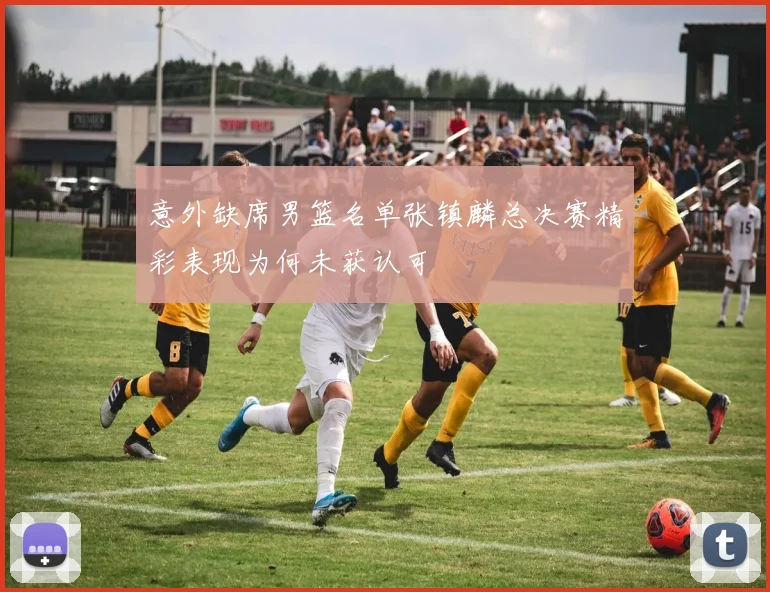 意外缺席男篮名单张镇麟总决赛精彩表现为何未获认可