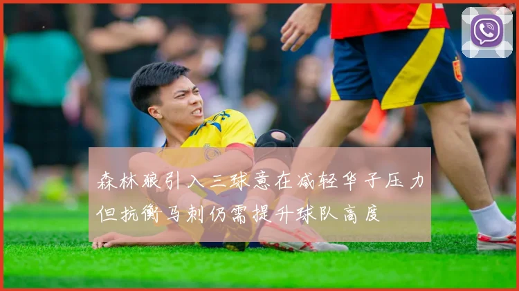 森林狼引入三球意在减轻华子压力但抗衡马刺仍需提升球队高度