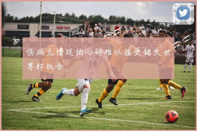 伤病无情廷伯心碎难以接受错失世界杯机会
