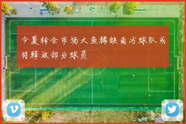 今夏转会市场大鱼稀缺南方球队或将释放部分球员